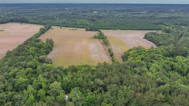 a view of a road with a yard