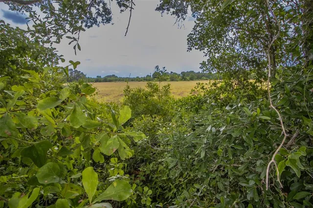 a view of an ocean from a balcony