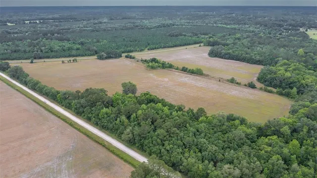 a view of a pathway both side of river and yard