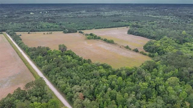 a view of a pathway both side of river and yard