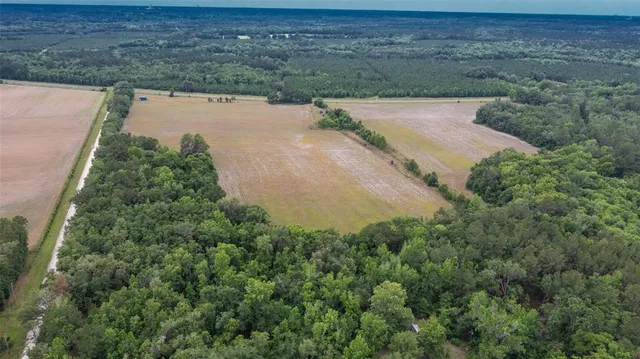 an aerial view of a yard