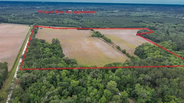 an aerial view of a house with a yard and lake