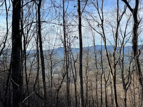 $49,900 | Lot 73 Hidden Treasure, Murphy, NC 28906