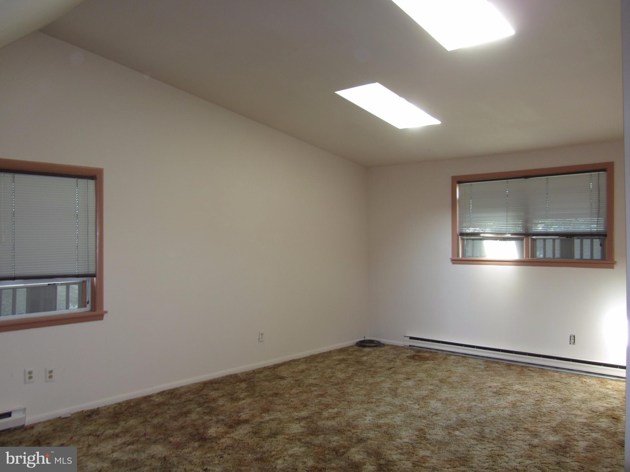 11802 Manor Road Glen Arm, MD 21057 - Photo 13 of 21 Master Bedroom with Skylights