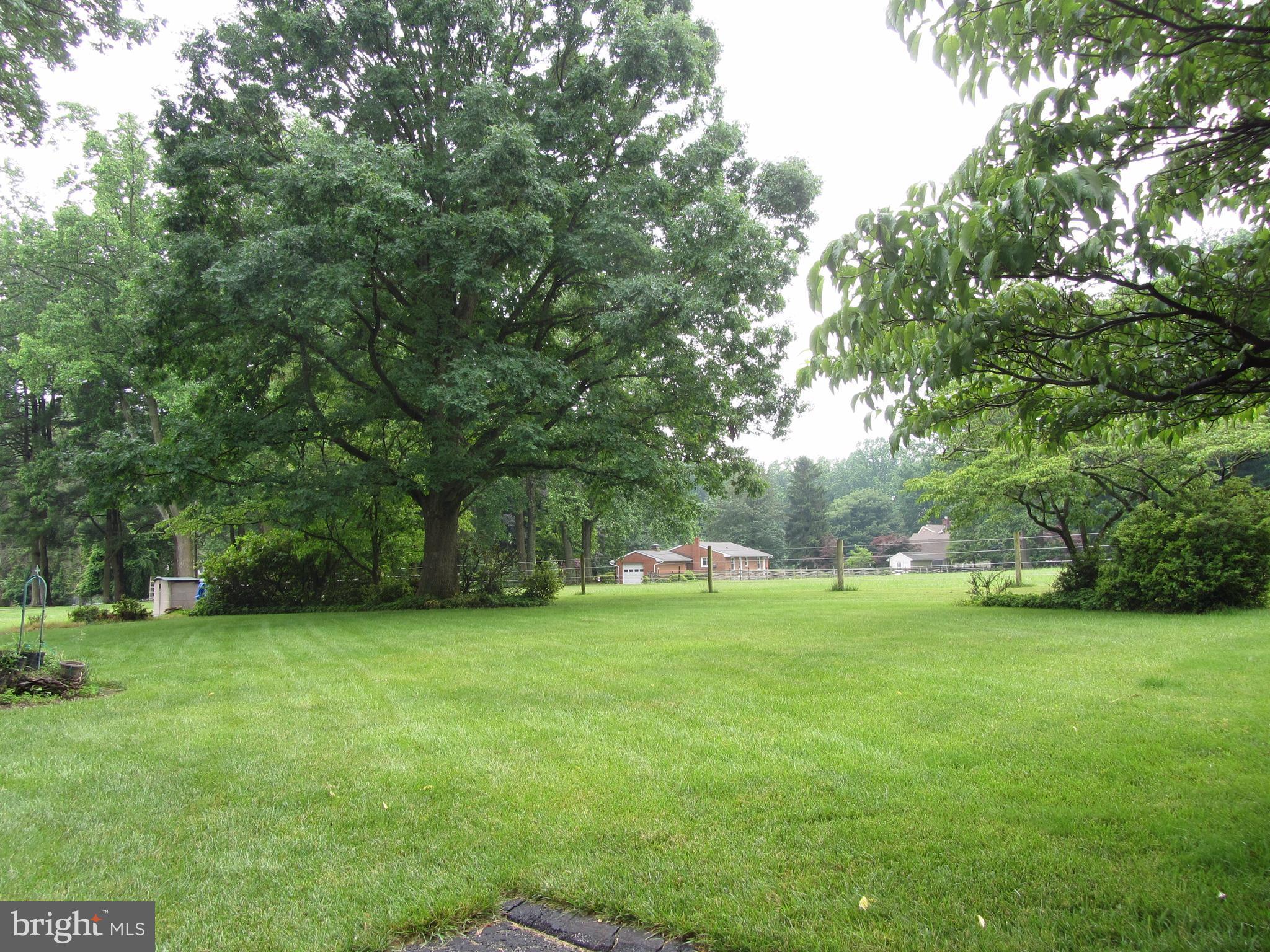 11802 Manor Road Glen Arm, MD 21057 - Photo 17 of 21 Back Yard