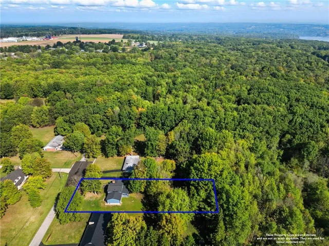 a view of a city with lush green forest