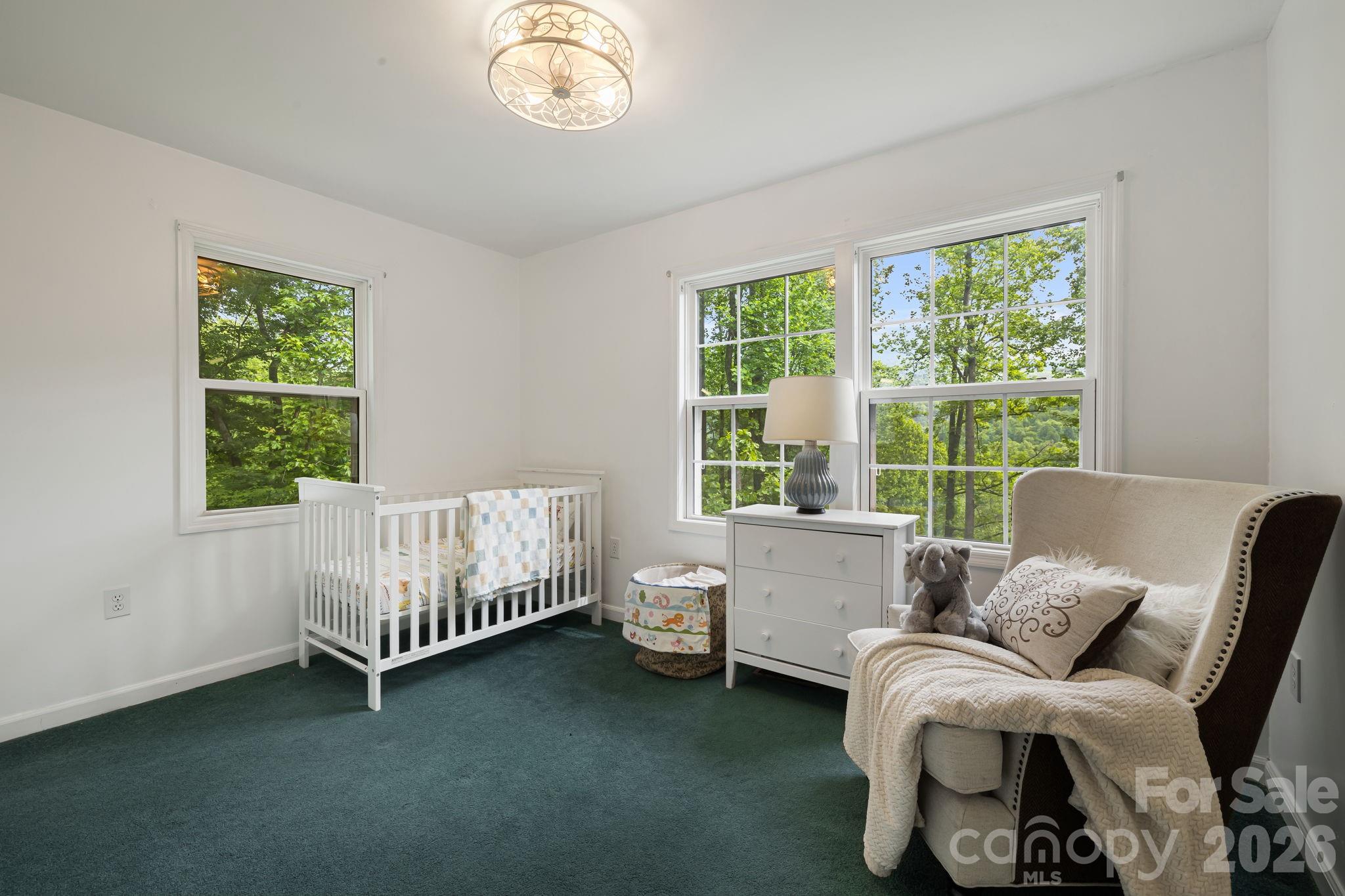 107 Mercy Ridge Sylva, NC 28779 - Photo 28 of 45 Gallery Image 28