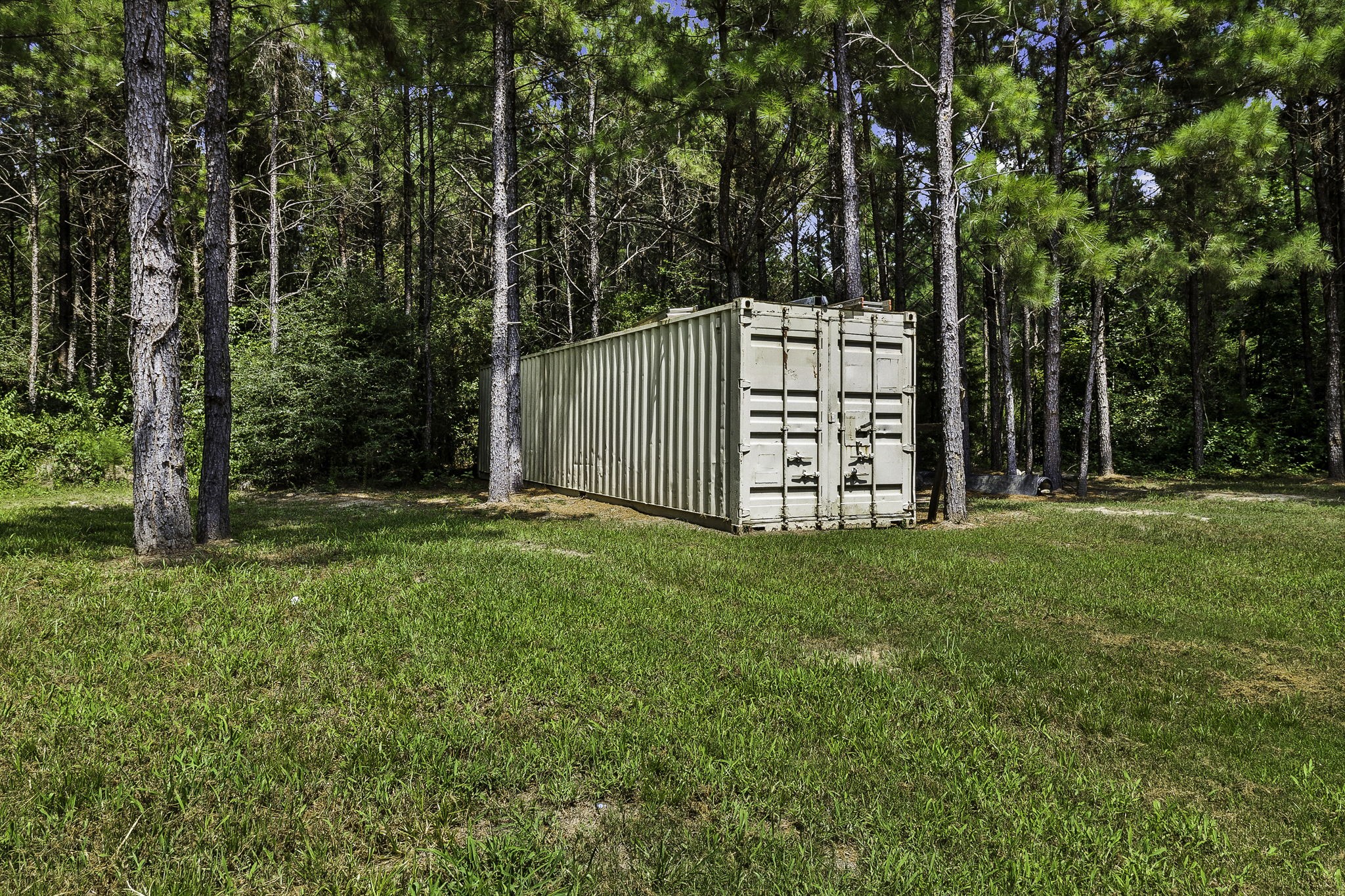5633 Duff Road Livingston, TX 77351 - Photo 11 of 39