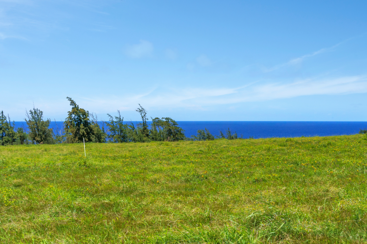 2 Uli Road Kapaau, HI 96755 - Photo 9 of 13