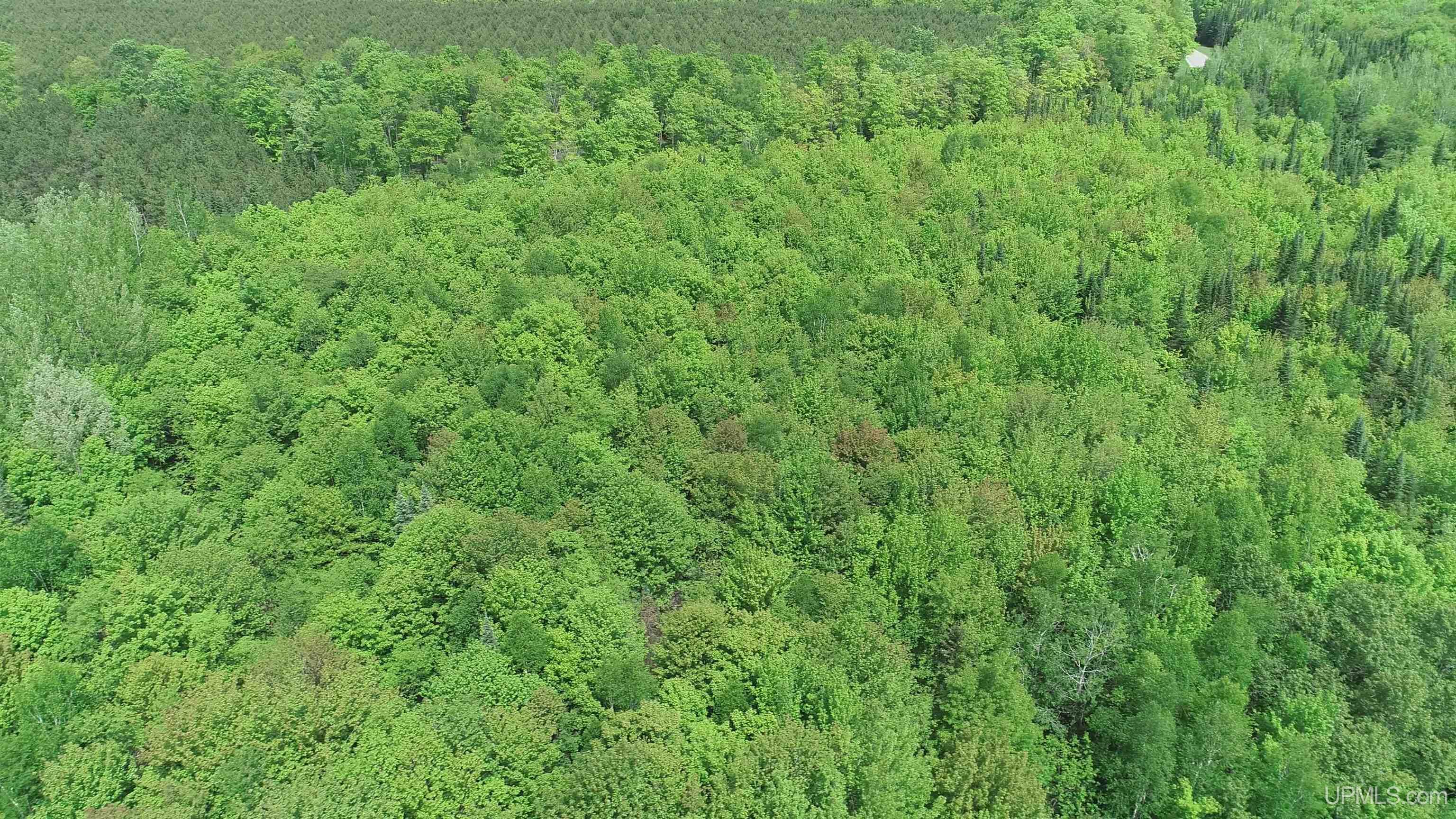 80-acres Off Carlson Road Manistique, MI 49854 - Photo 1 of 1