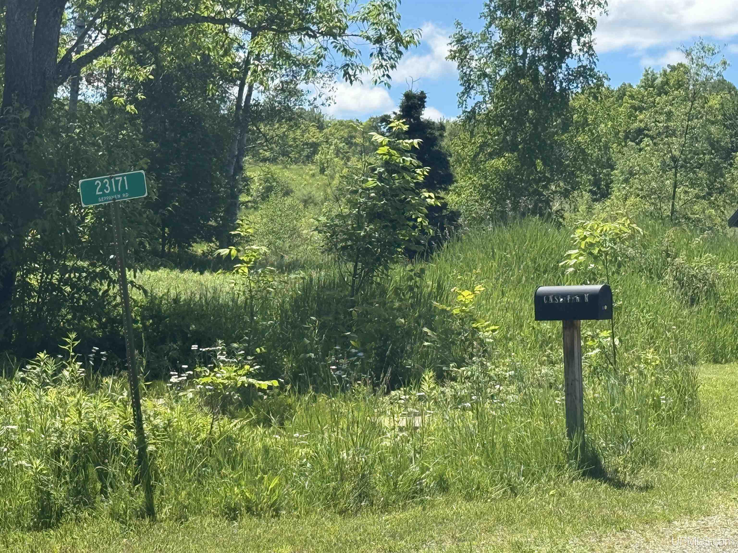 23171 Seppanen Road, Unit TBD OFF END OF SEPPANEN R Nisula, MI 49952 - Photo 12 of 16
