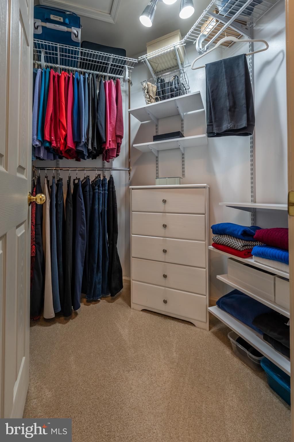 3214 Riding Court Chalfont, PA 18914 - Photo 30 of 51 Walk in Closet