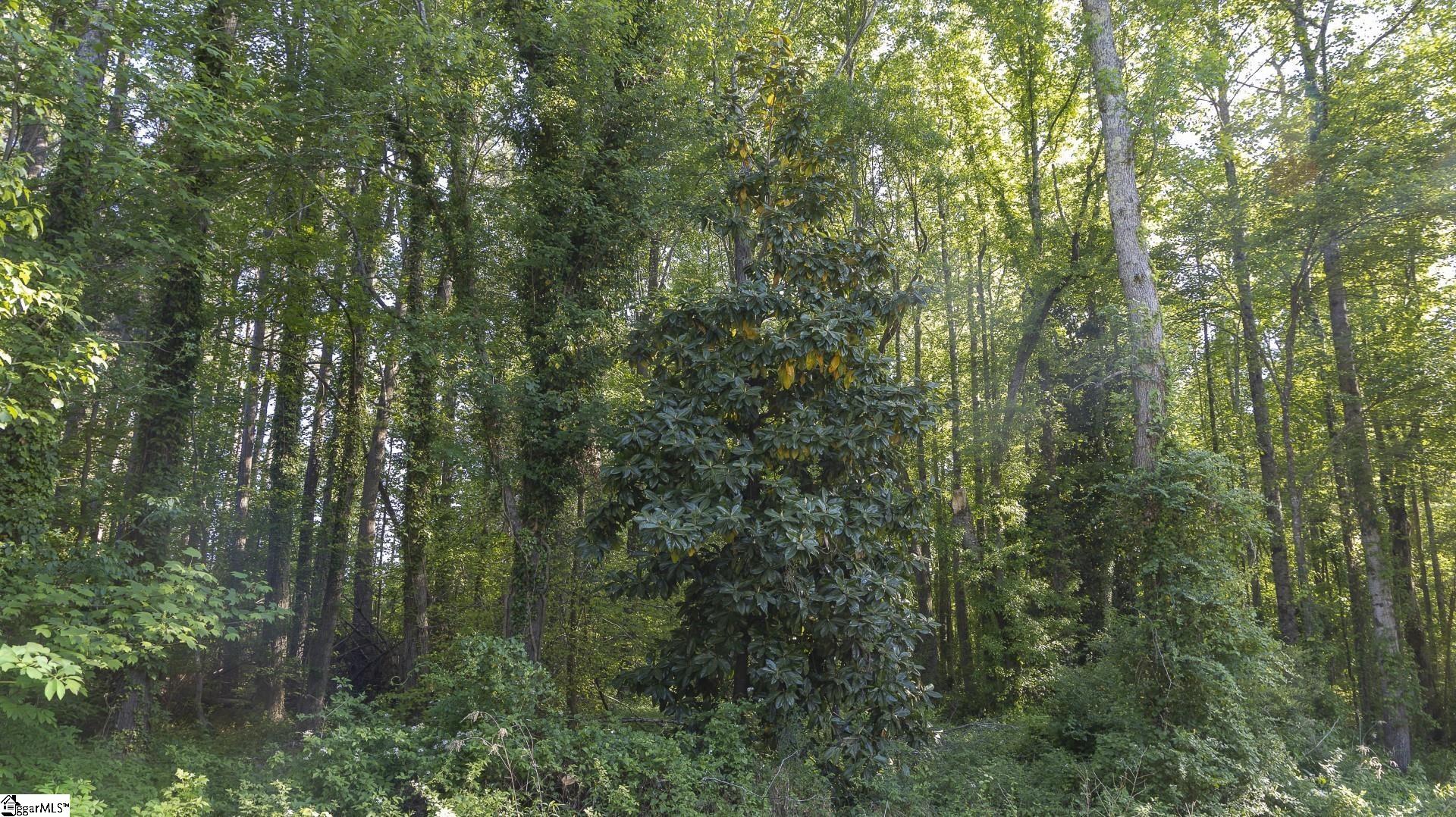 0 Botany Slopes Road Piedmont, SC 29673 - Photo 15 of 44