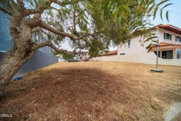 a view of a yard with a tree
