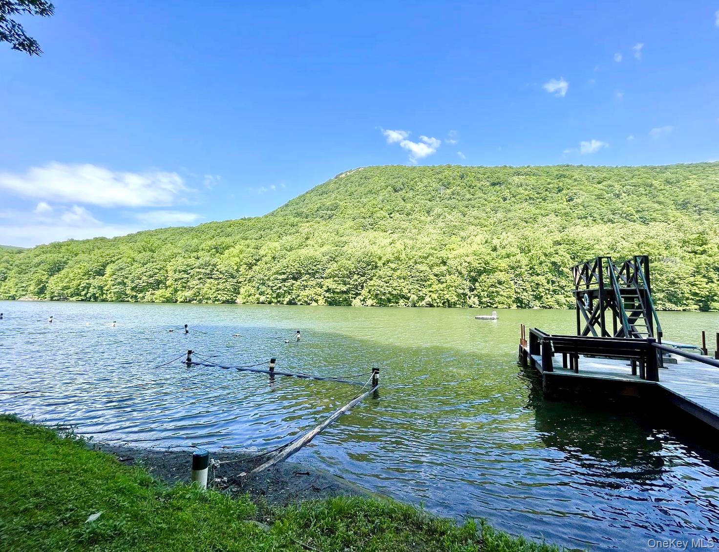 15 Locust Drive Cold Spring, NY 10516 - Photo 14 of 15 a view of a lake with a yard