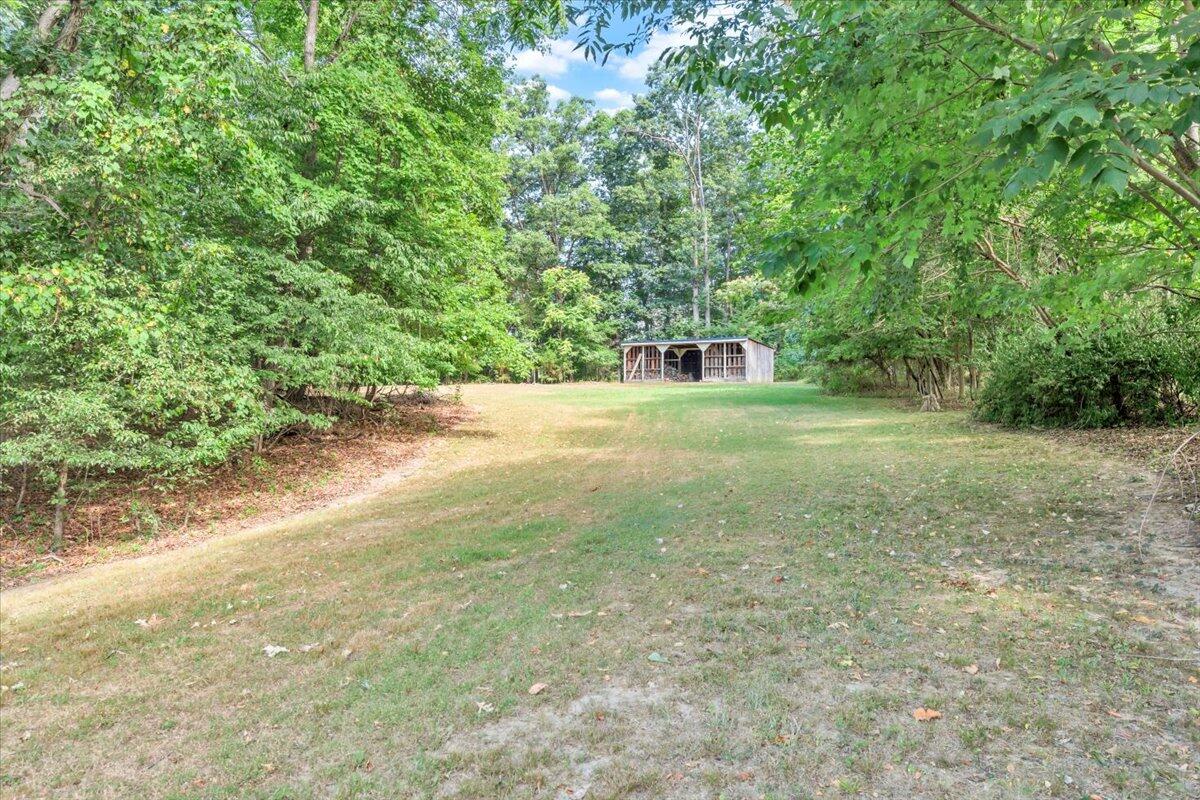 3007 Green Ridge Road Roanoke, VA 24019 - Photo 40 of 56 a view of a big yard with plants and large trees
