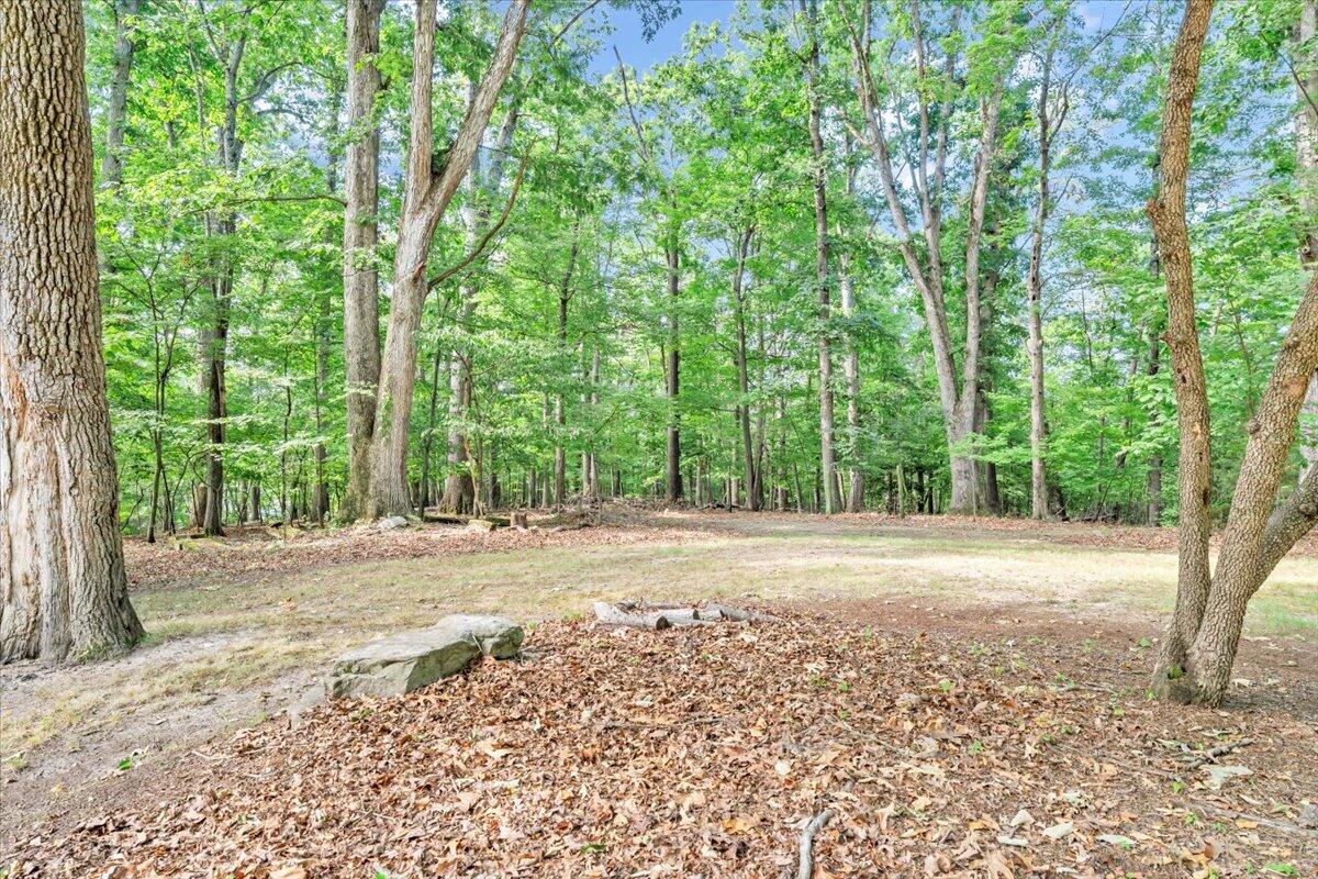 3007 Green Ridge Road Roanoke, VA 24019 - Photo 43 of 56 a view of a yard with large trees