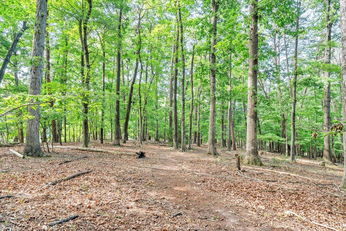 3007 Green Ridge Road Roanoke, VA 24019 - Photo 44 of 56 a view of outdoor space with trees