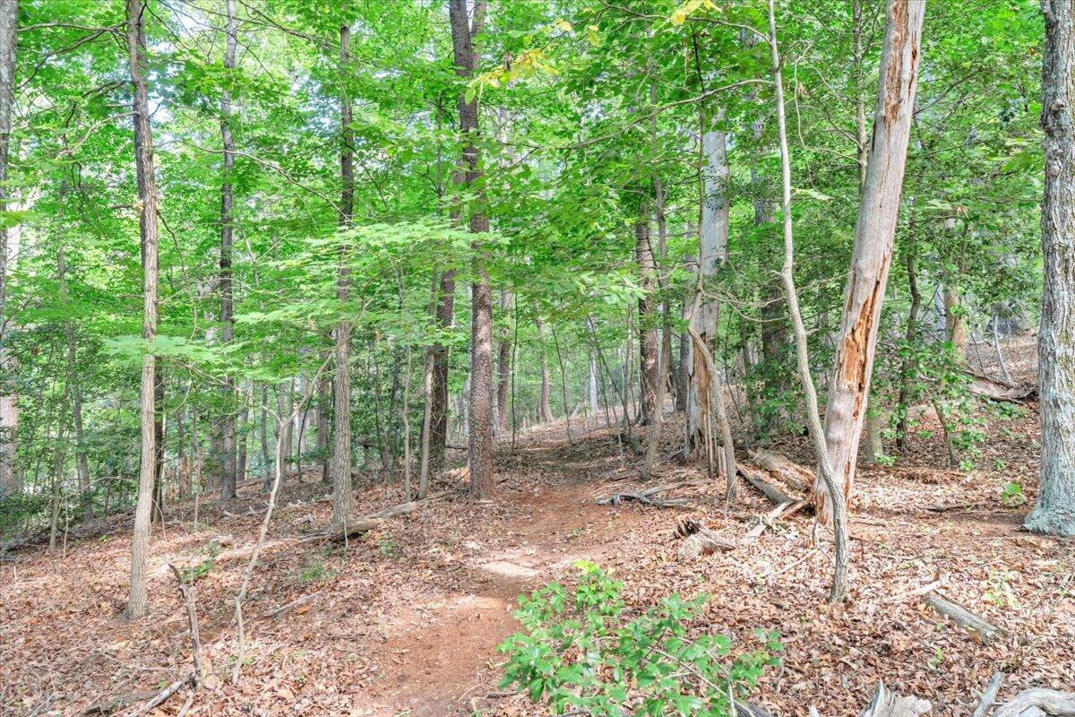 3007 Green Ridge Road Roanoke, VA 24019 - Photo 45 of 56 a backyard of a house with lots of green space and chair