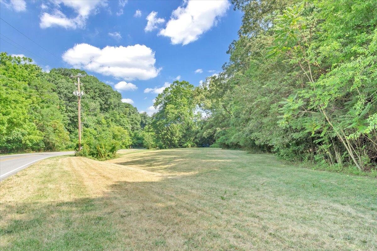 3007 Green Ridge Road Roanoke, VA 24019 - Photo 46 of 56 a view of a yard with a tree