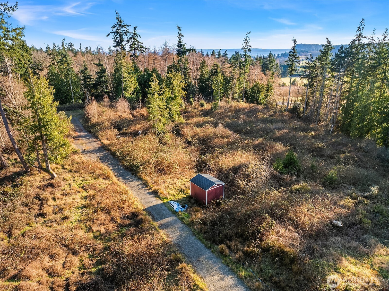 2150 Newman Road Langley, WA 98260 - Photo 11 of 12 a backyard of a house with lots of green space