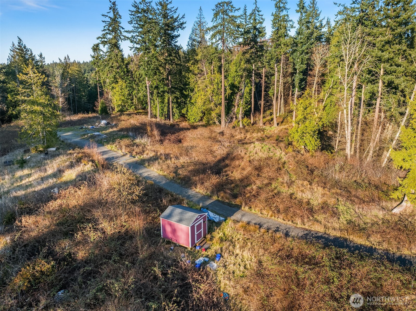 2150 Newman Road Langley, WA 98260 - Photo 12 of 12 a view of a yard with plants and trees