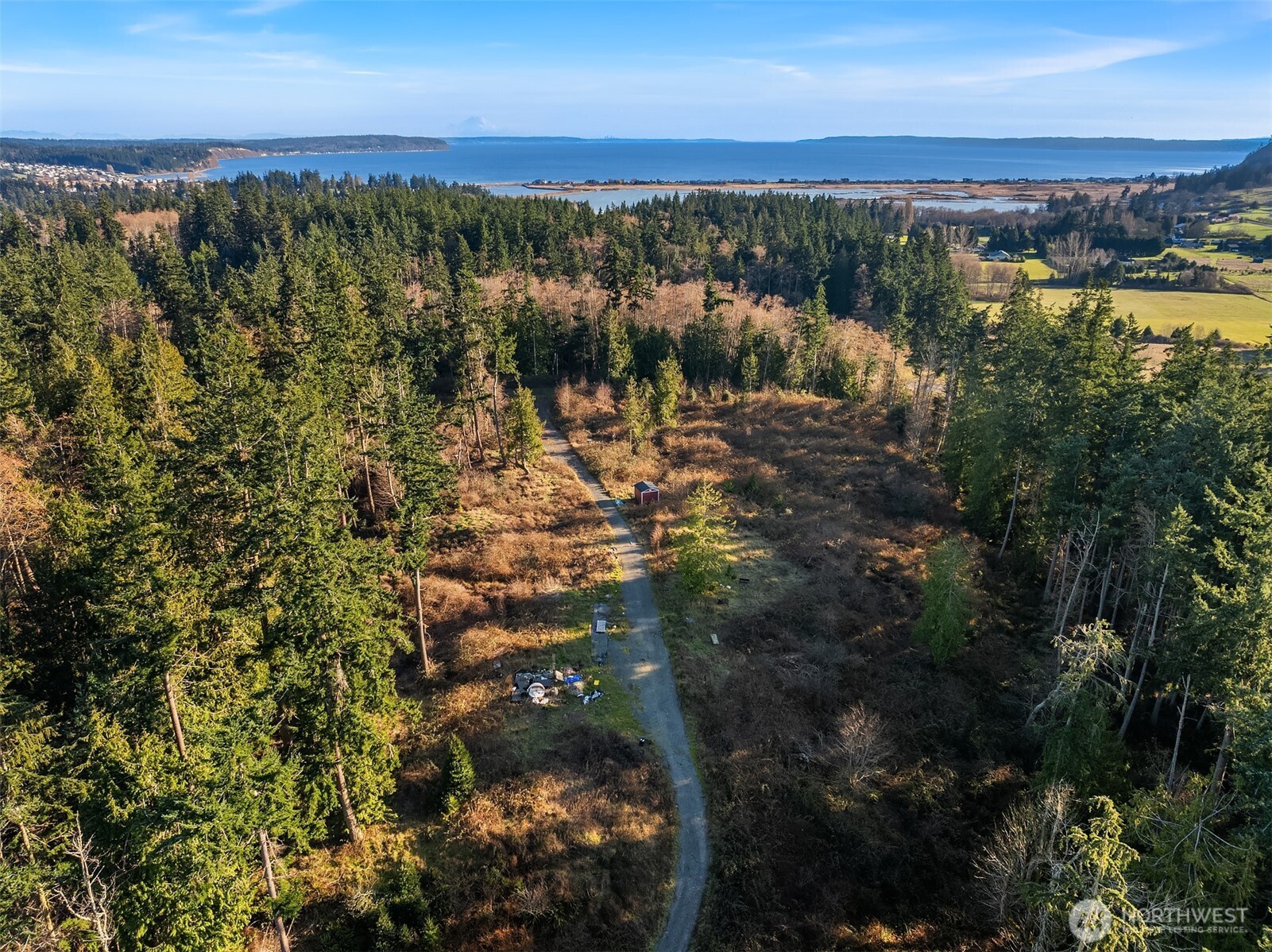 2150 Newman Road Langley, WA 98260 - Photo 10 of 12 a view of city and green space