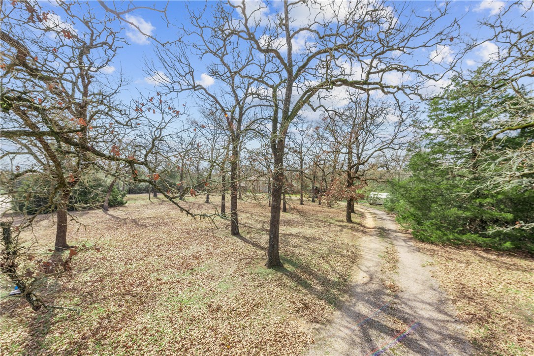 12994 Hunters Creek Road College Station, TX 77845 - Photo 2 of 35 a view of road and trees