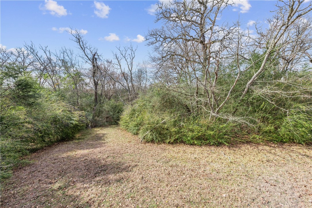 12994 Hunters Creek Road College Station, TX 77845 - Photo 34 of 35 a view of a yard with a tree