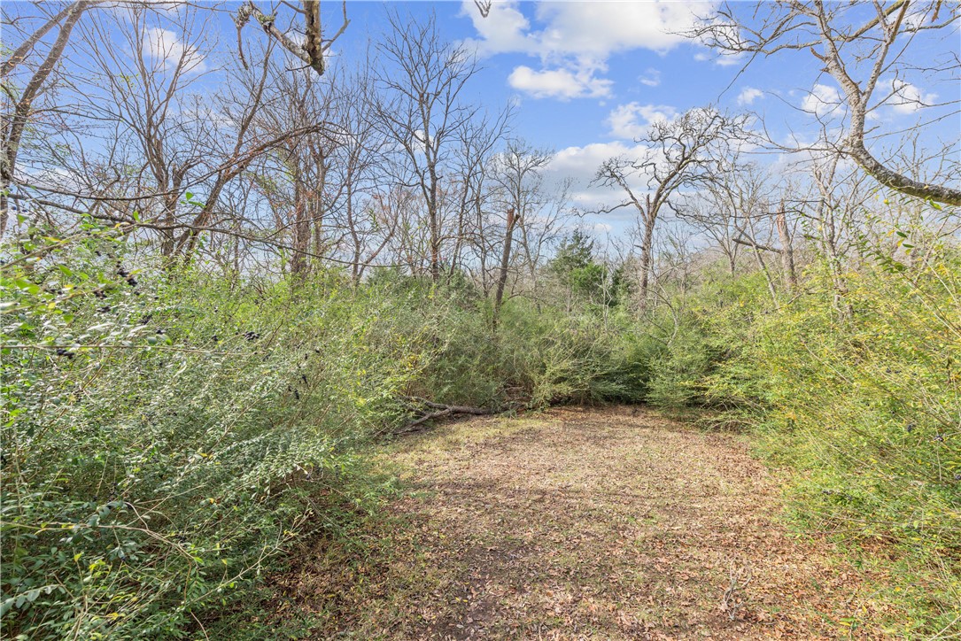 12994 Hunters Creek Road College Station, TX 77845 - Photo 35 of 35 a view of a yard with a tree
