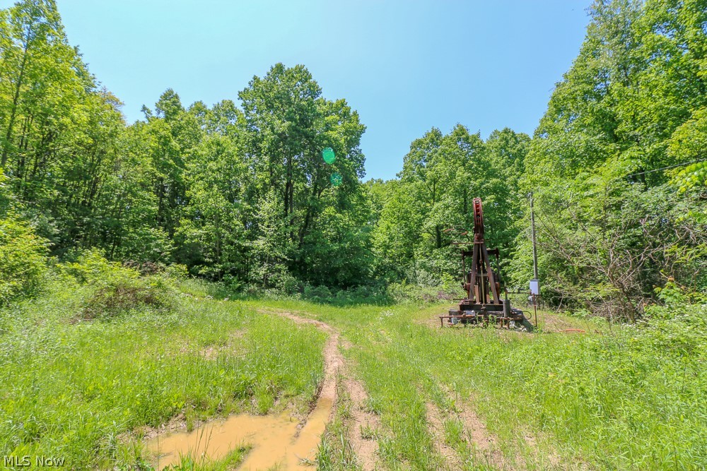Hines Ridge Rd Port Port Washington, OH 43837 - Photo 12 of 35 Gallery Image 12
