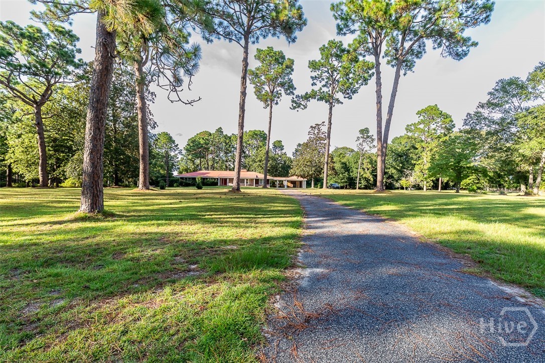 315 Cork Pond Road Sylvania, GA 30467 - Photo 3 of 59