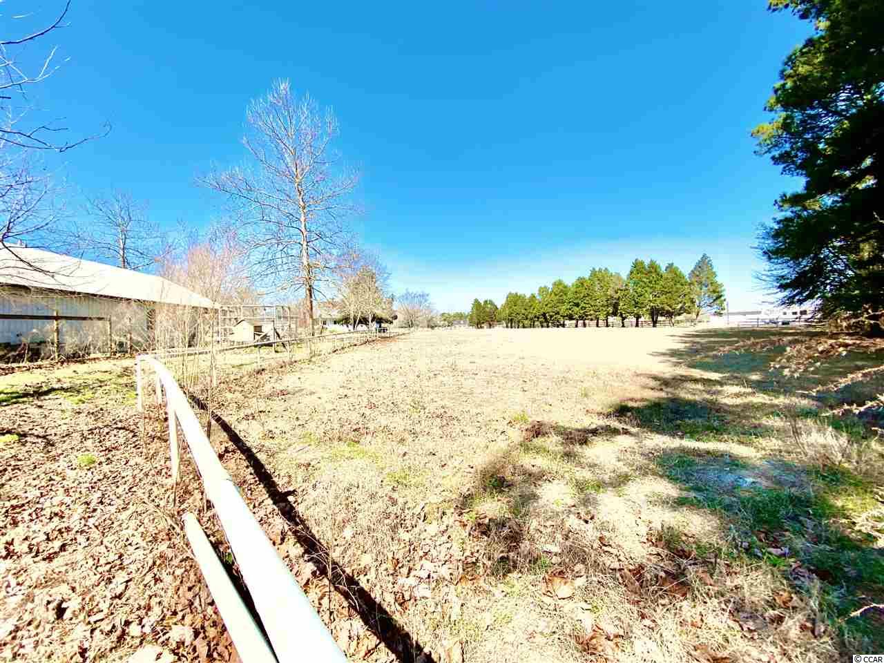1500 Colts Neck Road Loris, SC 29569 - Photo 18 of 31 Gallery Image 18