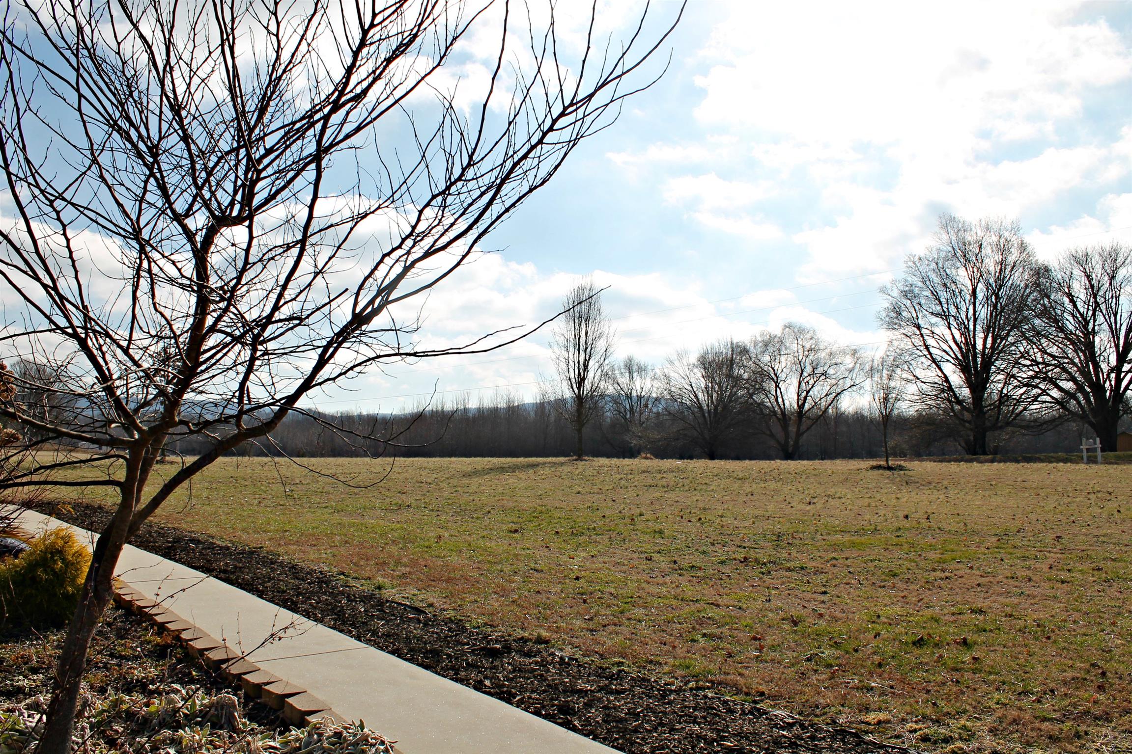 5037 Asbury Road Manchester, TN 37355 - Photo 11 of 13 a view of outdoor space with trees