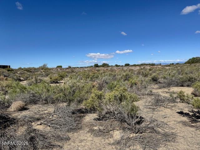 6318 Westwind Way Fallon, NV 89406 - Photo 2 of 2 a view of a dry yard with lots of trees