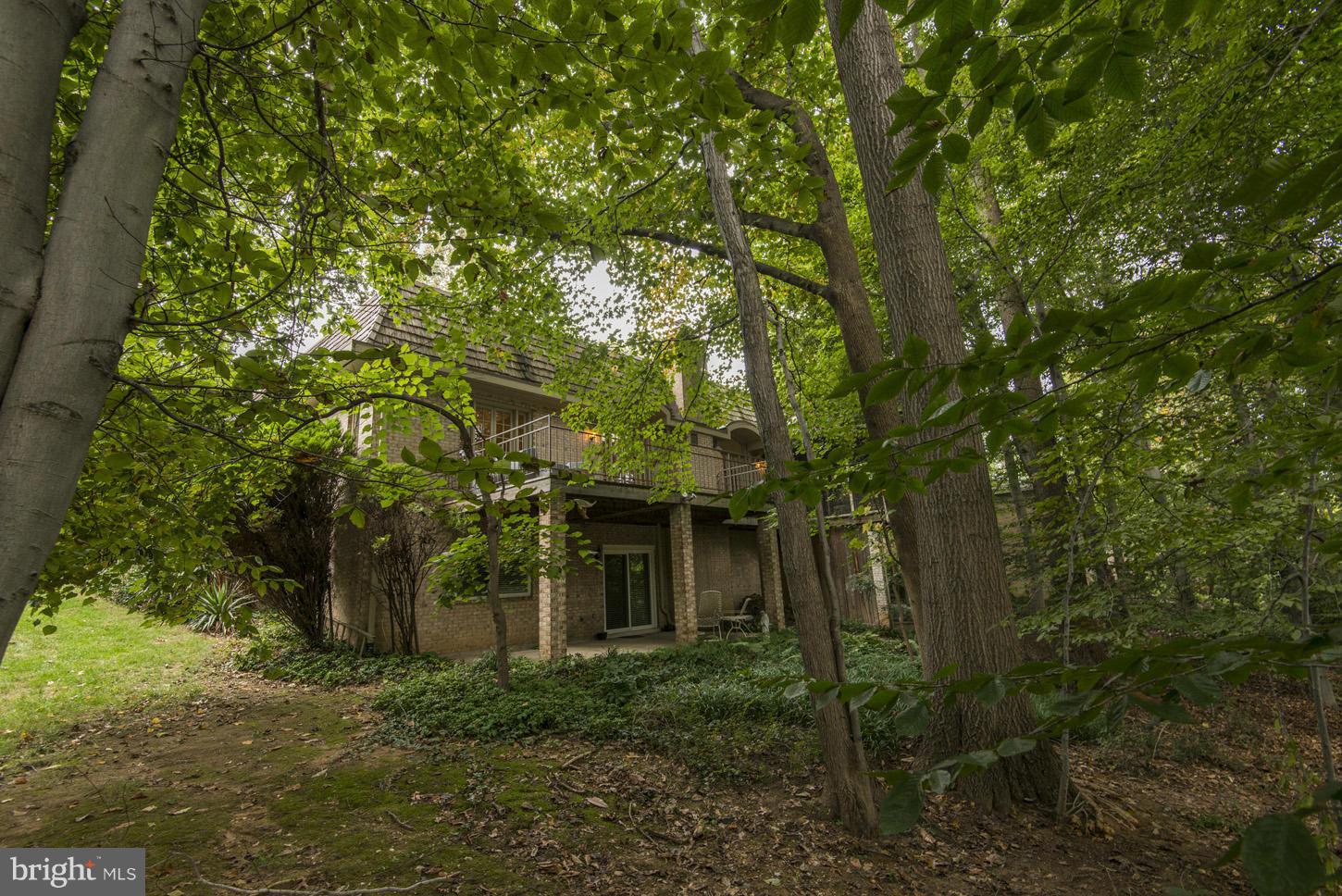 4111 North Ridgeview Road Arlington, VA 22207 - Photo 20 of 21 Exterior (Rear)