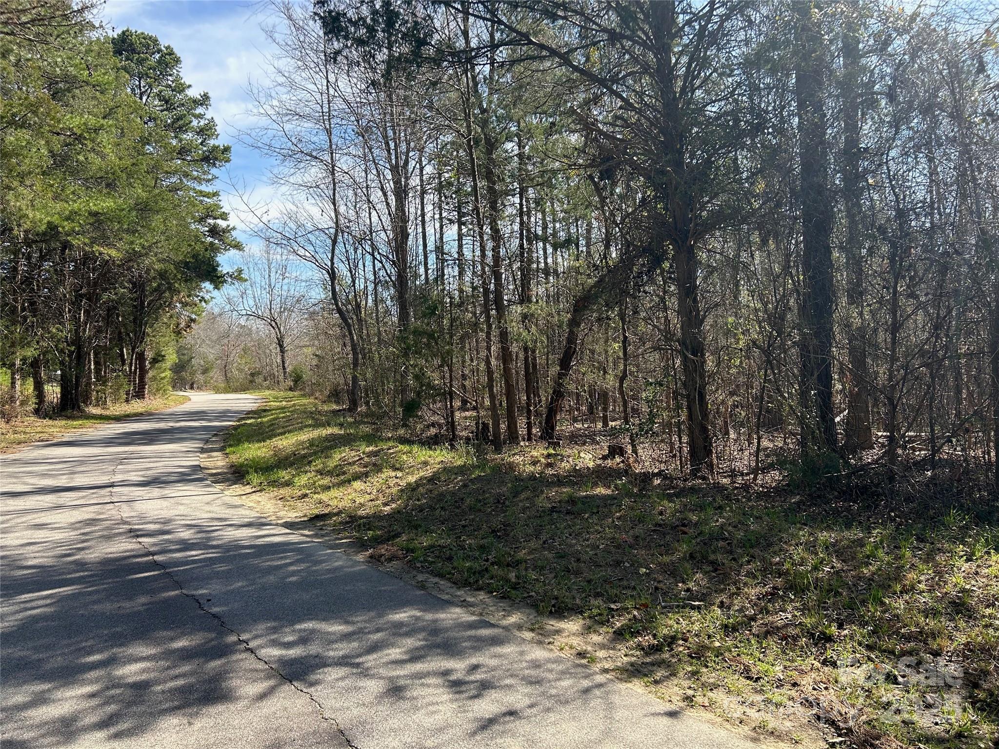 Tbd Green Pond Road Indian Land, SC 29707 - Photo 13 of 23 a view of a yard with large trees