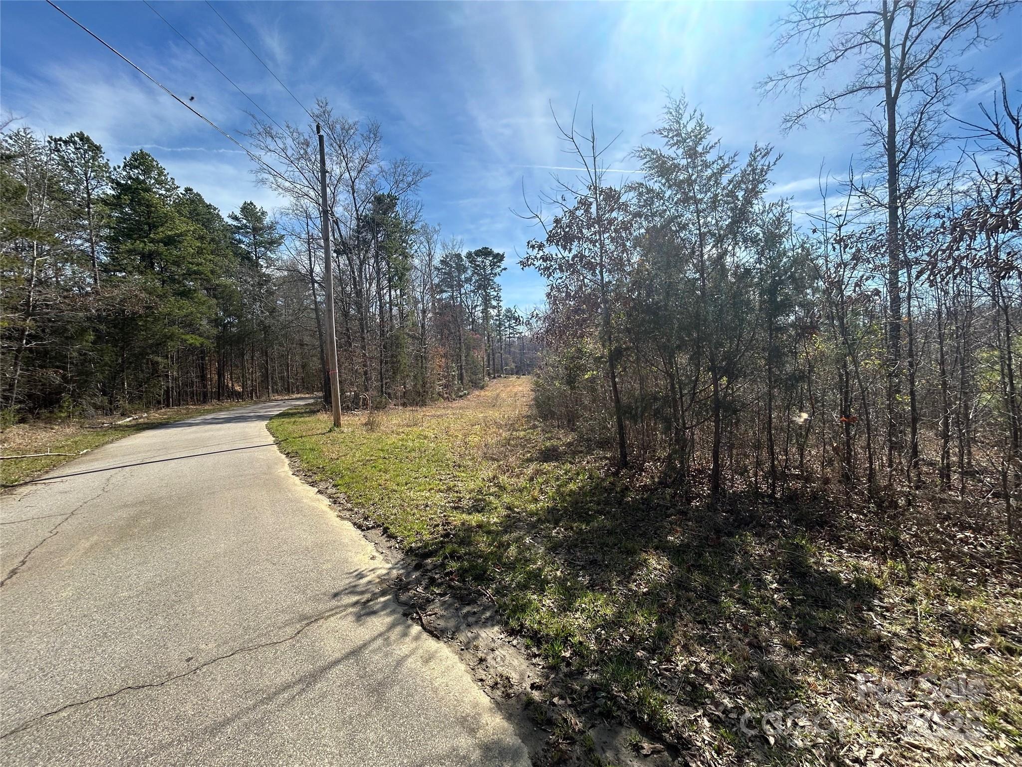 Tbd Green Pond Road Indian Land, SC 29707 - Photo 14 of 23 a view of backyard