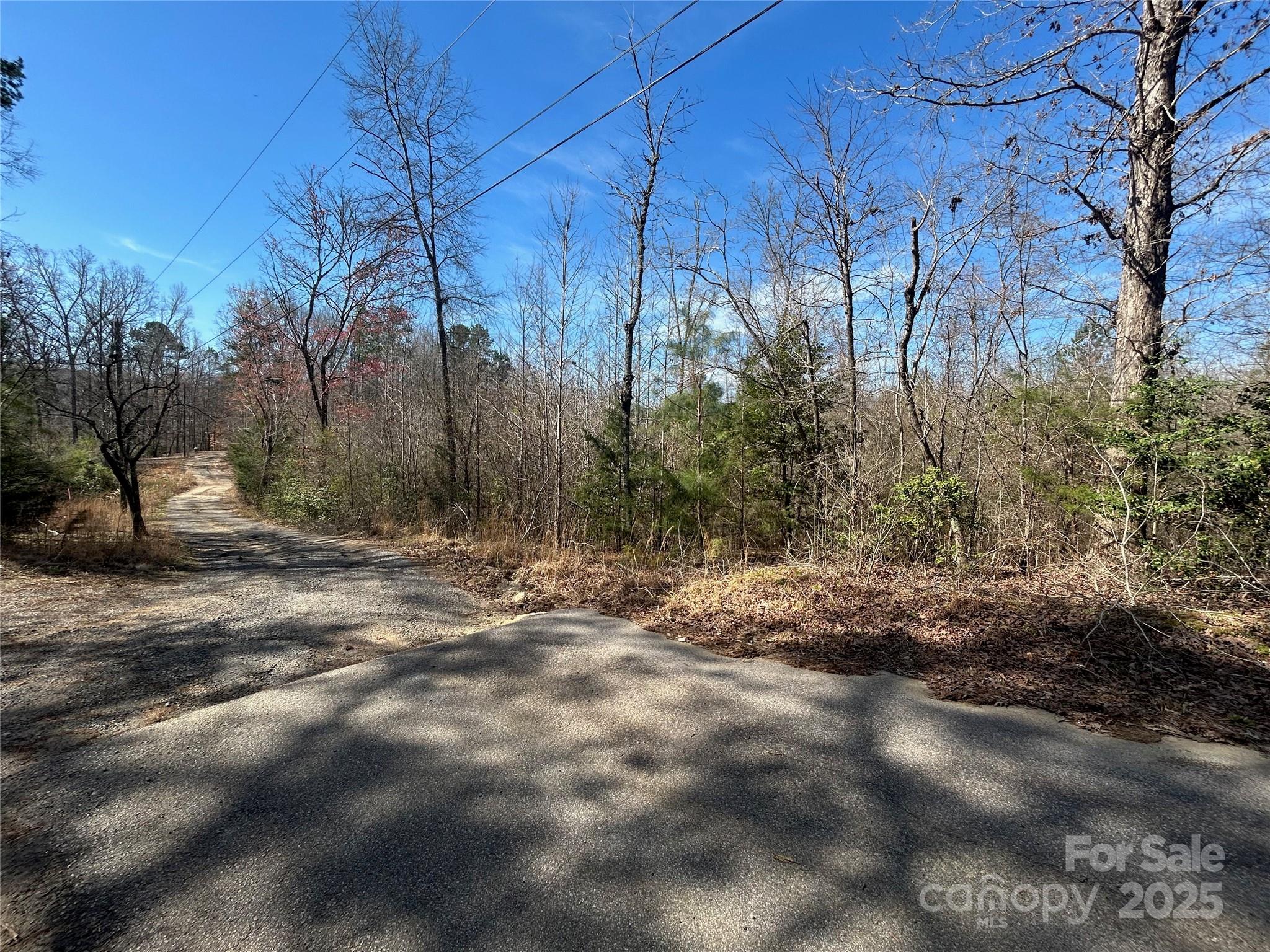 Tbd Green Pond Road Indian Land, SC 29707 - Photo 16 of 23 a view of a yard with trees
