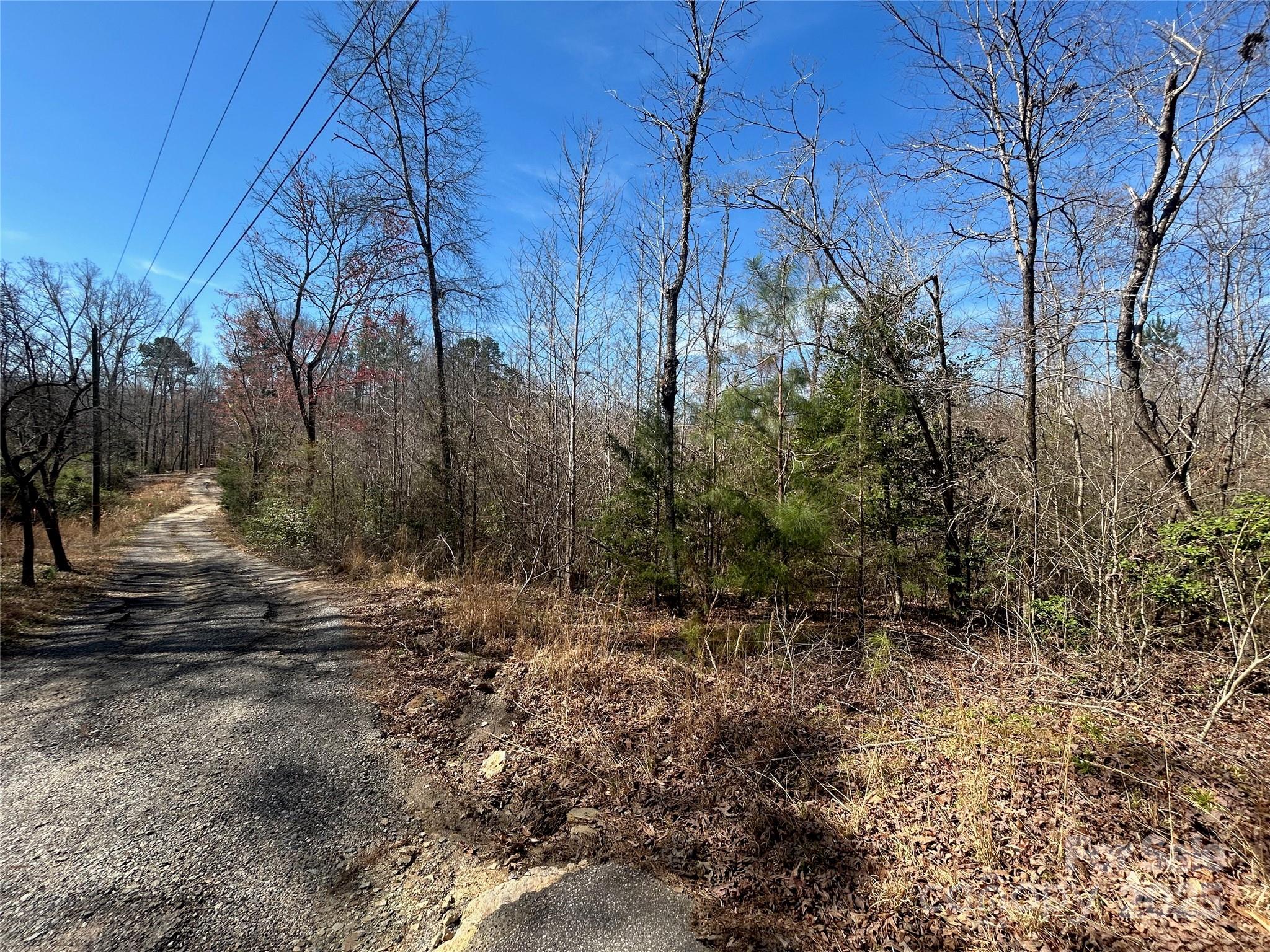 Tbd Green Pond Road Indian Land, SC 29707 - Photo 17 of 23 a view of a yard with lots of bushes