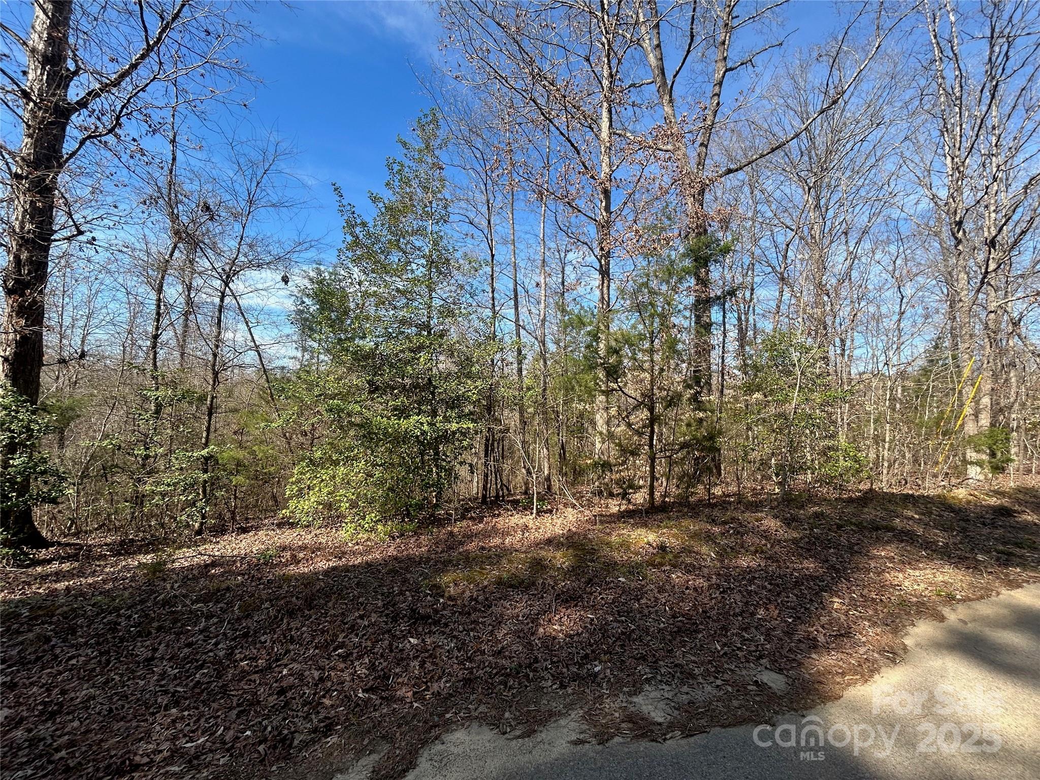 Tbd Green Pond Road Indian Land, SC 29707 - Photo 18 of 23 a view of a yard with trees
