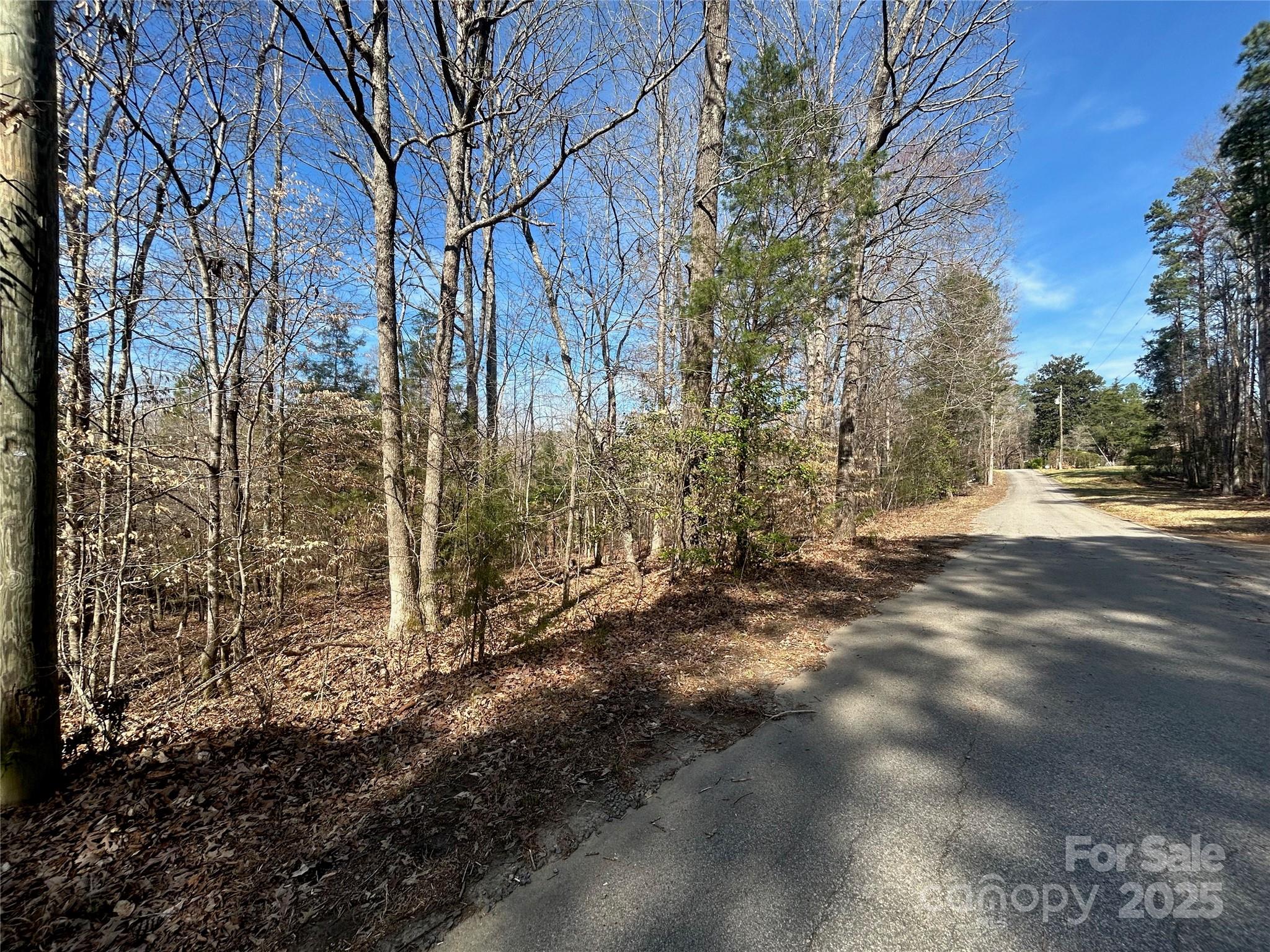 Tbd Green Pond Road Indian Land, SC 29707 - Photo 19 of 23 a view of a yard with trees
