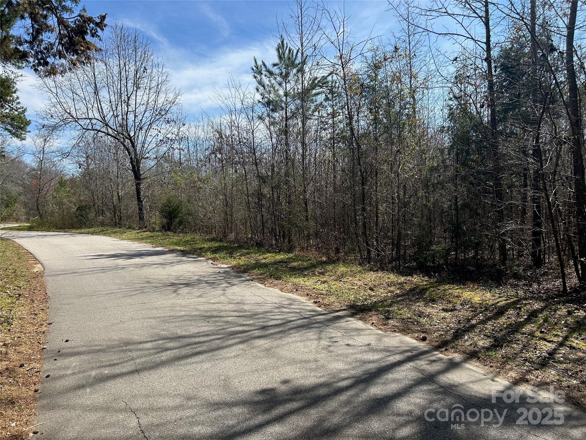 Tbd Green Pond Road Indian Land, SC 29707 - Photo 21 of 23 a view of a backyard of a house