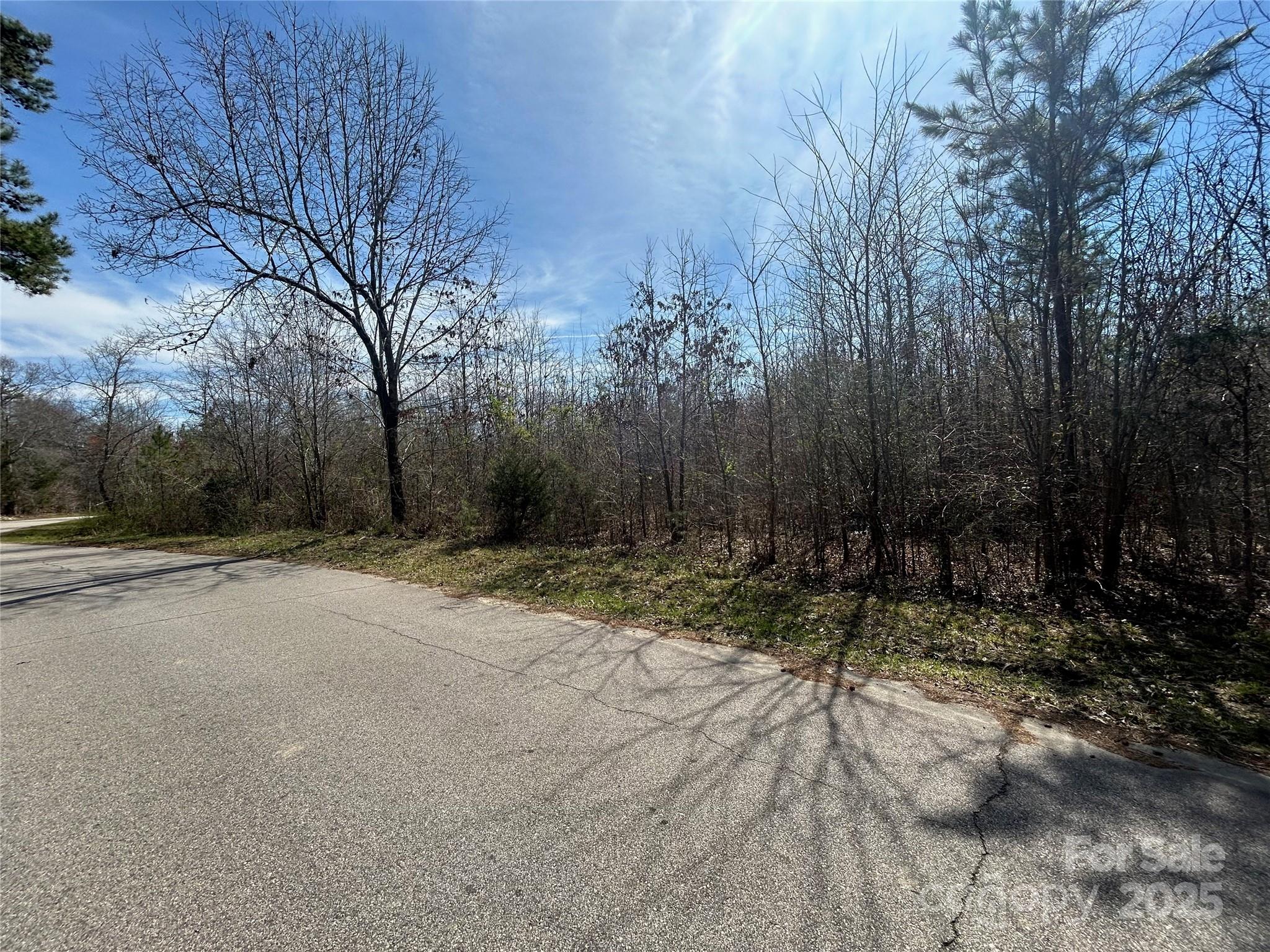 Tbd Green Pond Road Indian Land, SC 29707 - Photo 23 of 23 a view of a yard with trees