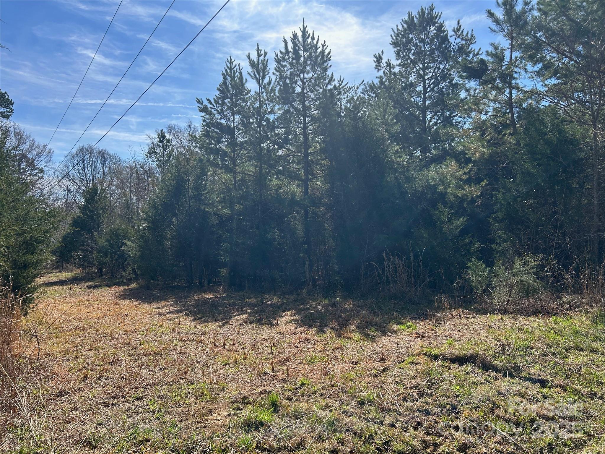 Tbd Green Pond Road Indian Land, SC 29707 - Photo 3 of 23 a view of a yard
