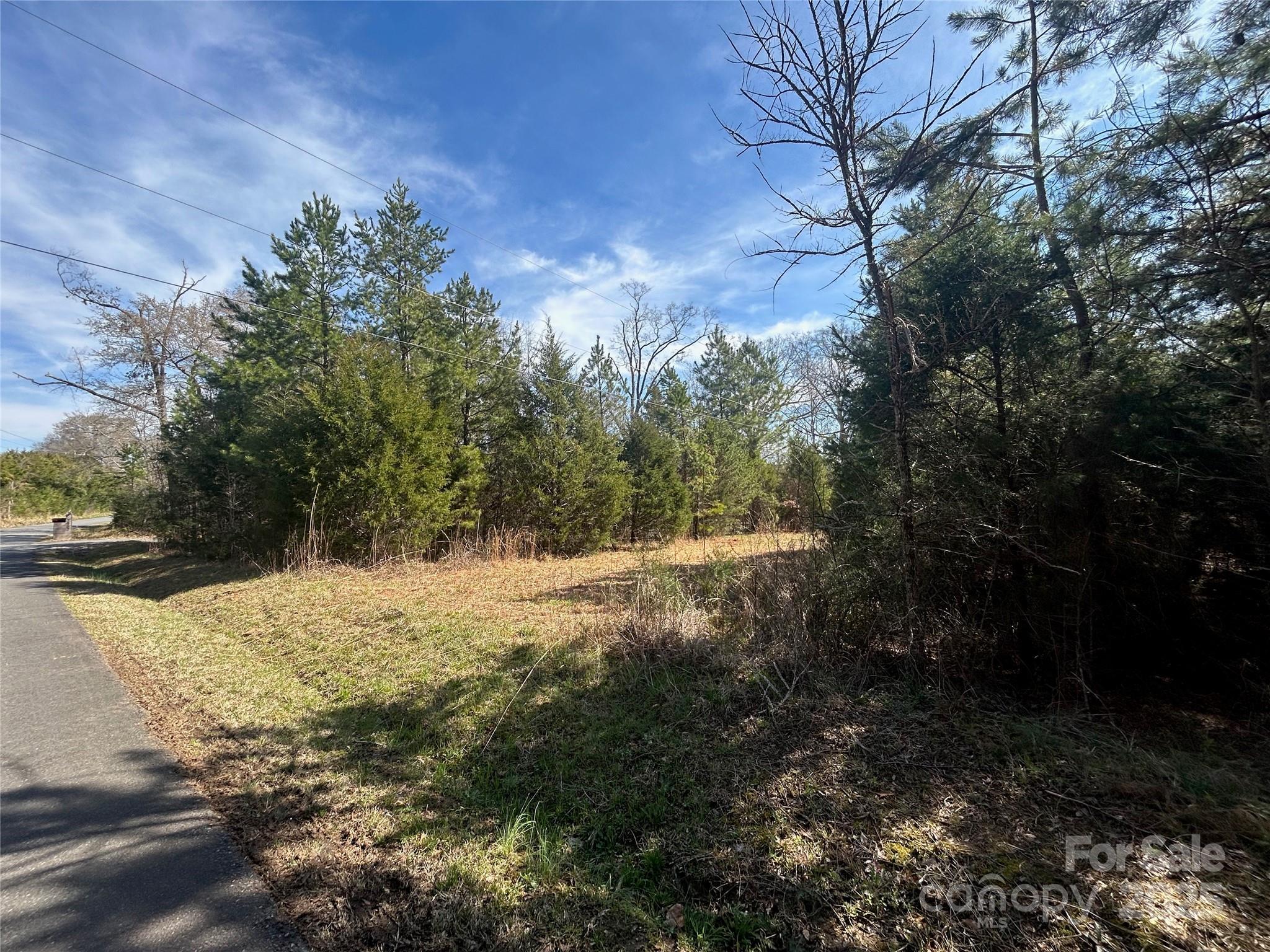 Tbd Green Pond Road Indian Land, SC 29707 - Photo 4 of 23 a view of a yard with trees