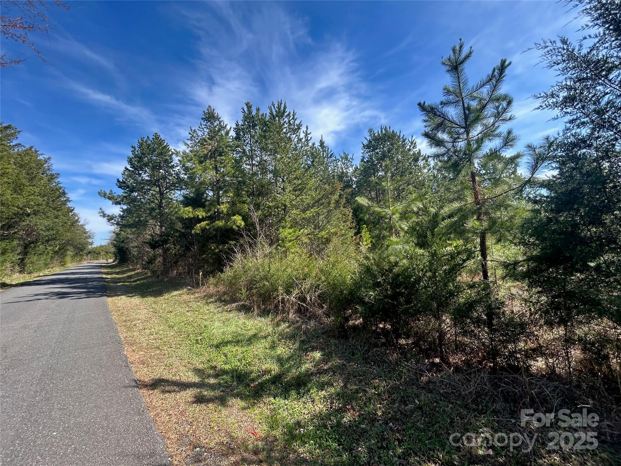 Tbd Green Pond Road Indian Land, SC 29707 - Photo 5 of 23 a view of a yard with plants and a tree