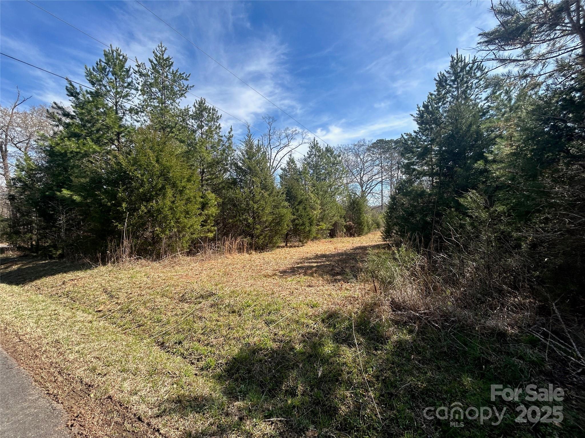 Tbd Green Pond Road Indian Land, SC 29707 - Photo 6 of 23 a view of a yard with a tree