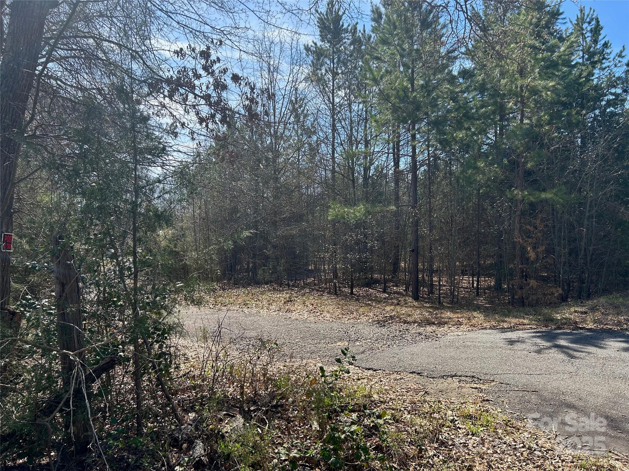 Tbd Green Pond Road Indian Land, SC 29707 - Photo 7 of 23 a view of a yard with trees