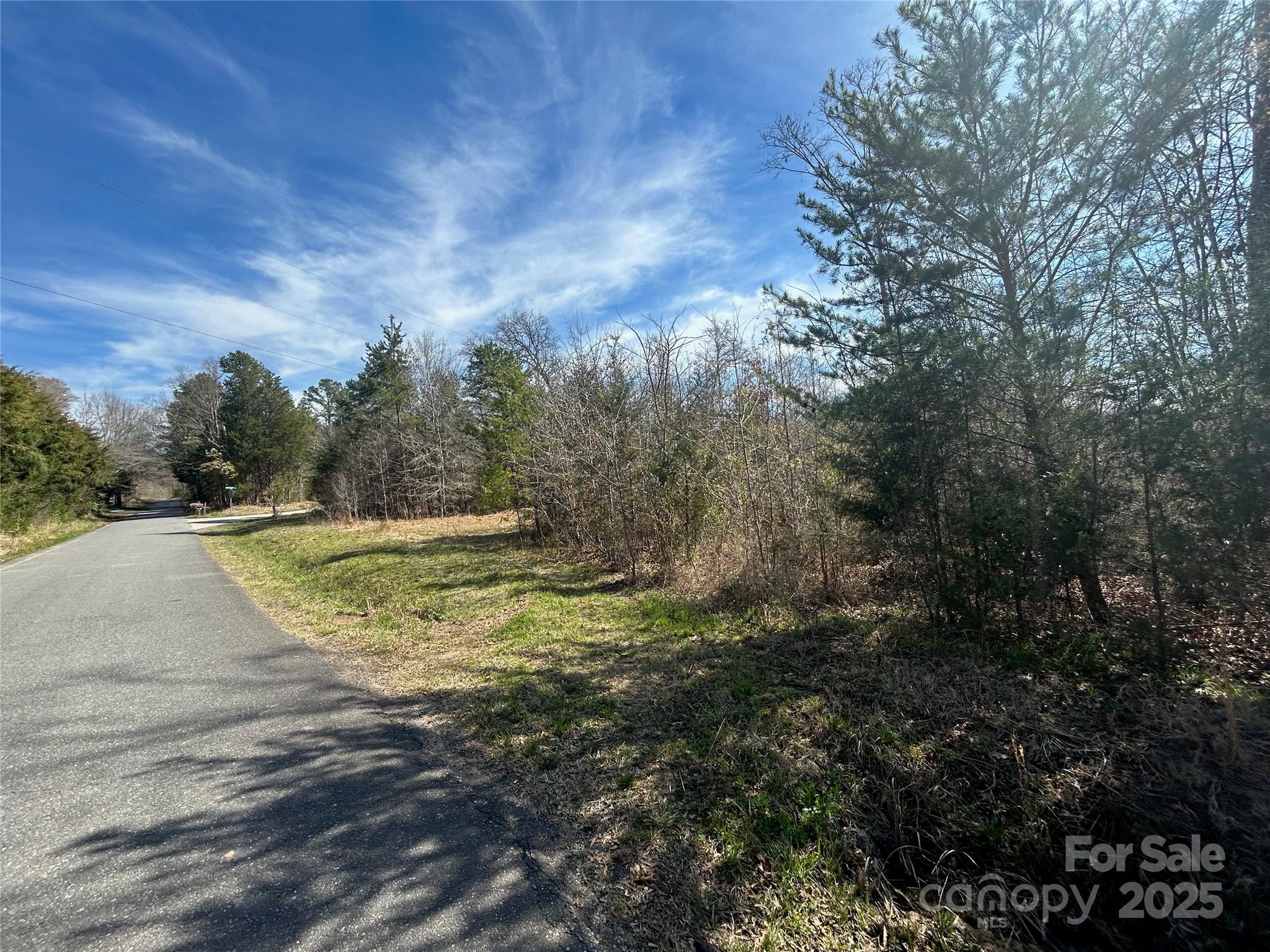Tbd Green Pond Road Indian Land, SC 29707 - Photo 10 of 23 a view of a dry yard